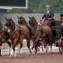 Alltech FEI WEG 2014â„¢ Driving